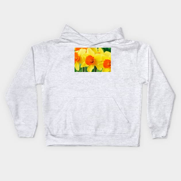 Narcissus  'Loveday'    Division 2 Large-cupped  Daffodil Kids Hoodie by chrisburrows